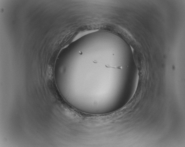 X0000069390025200605150955