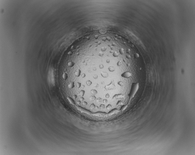 X0000069390026200605150955