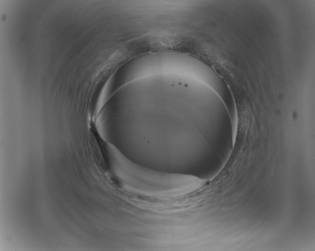 X0000069390027200605150954