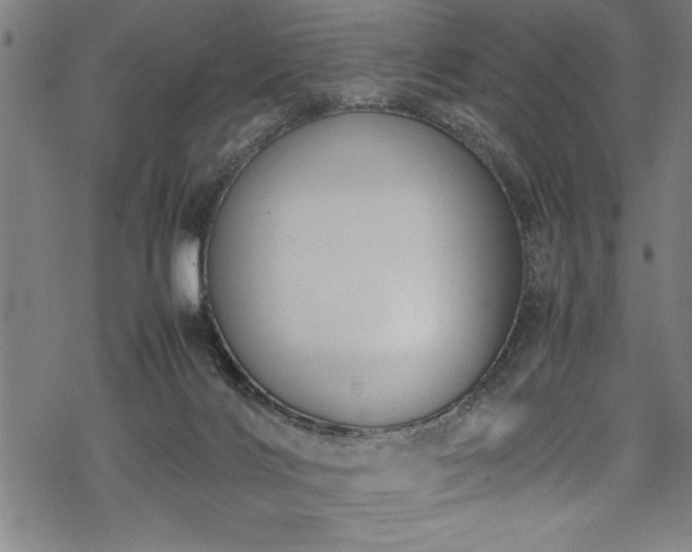 X0000069390028200605150954