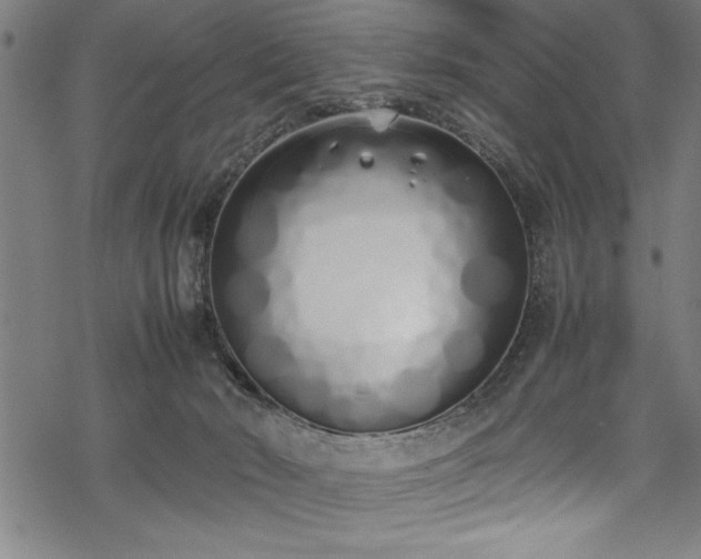 X0000069390030200605150954