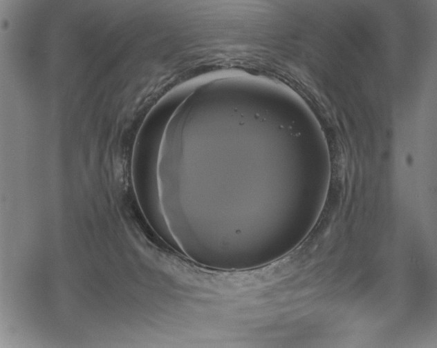 X0000069390031200605150954