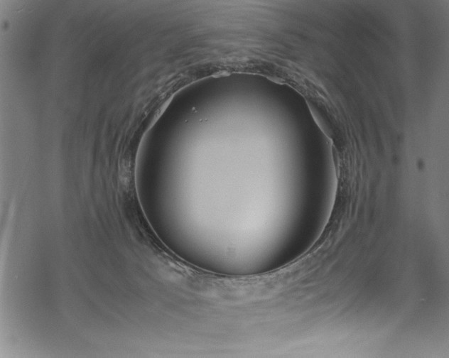 X0000069390033200605150954