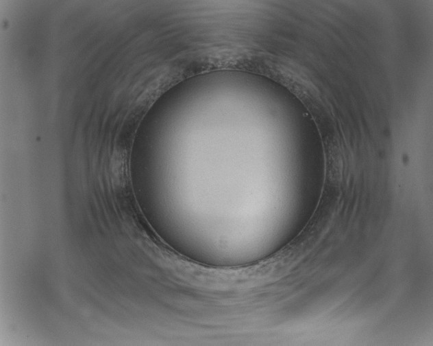 X0000069390034200605150954