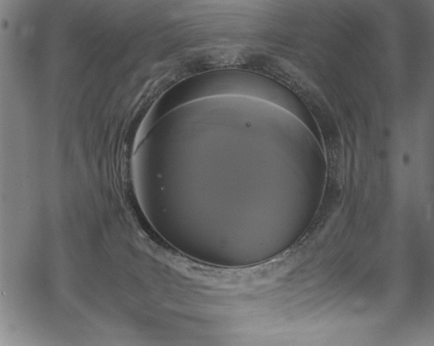 X0000069390035200605150954