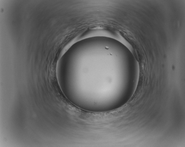 X0000069390037200605150954