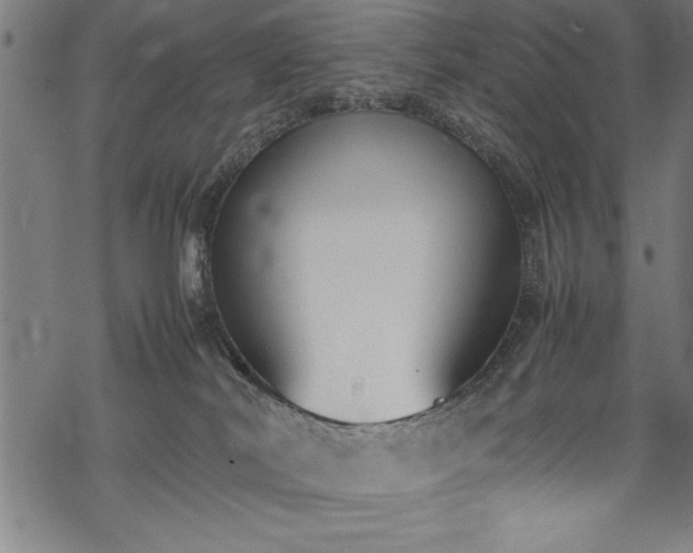 X0000069390038200605150954