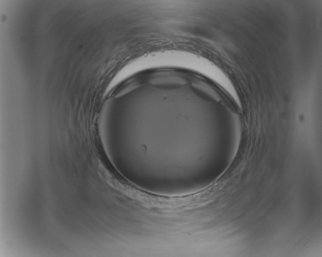 X0000069390039200605150954