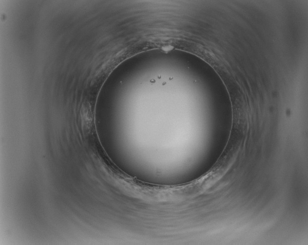 X0000069390040200605150954