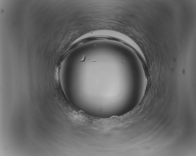 X0000069390041200605150954