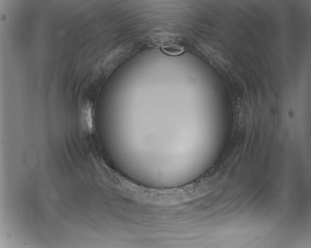 X0000069390042200605150954