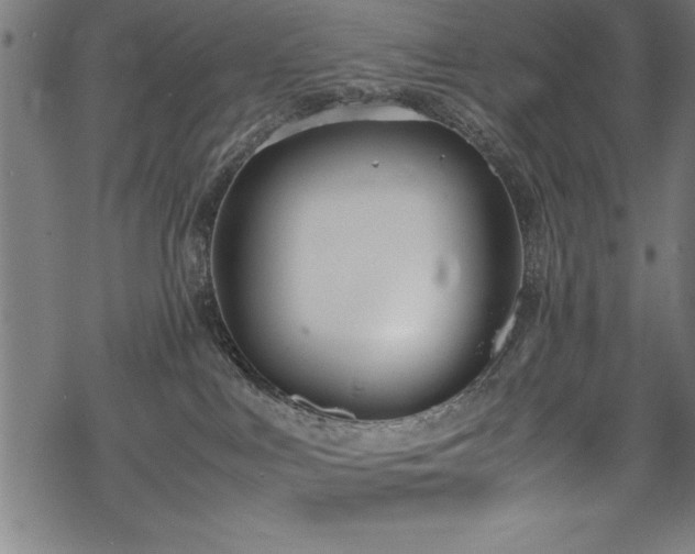 X0000069390043200605150954