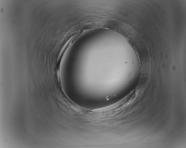 X0000069390045200605150954