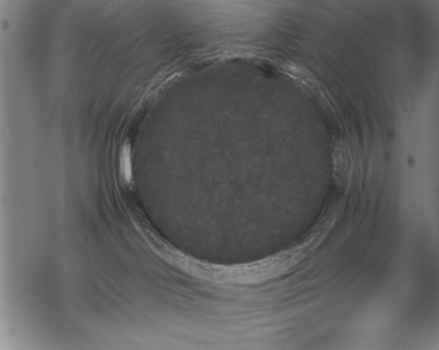 X0000069390046200605150954