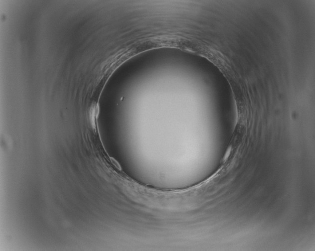 X0000069390047200605150954