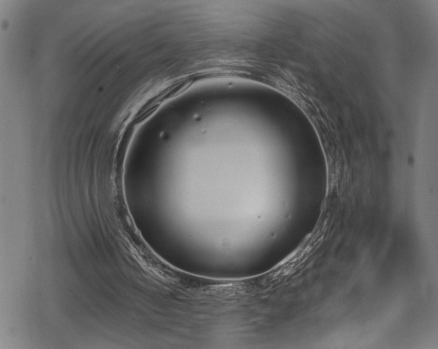 X0000069390050200605150953