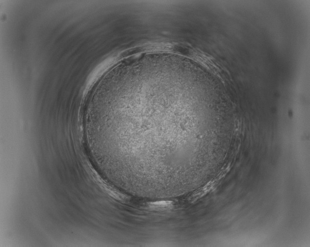 X0000069390053200605150953