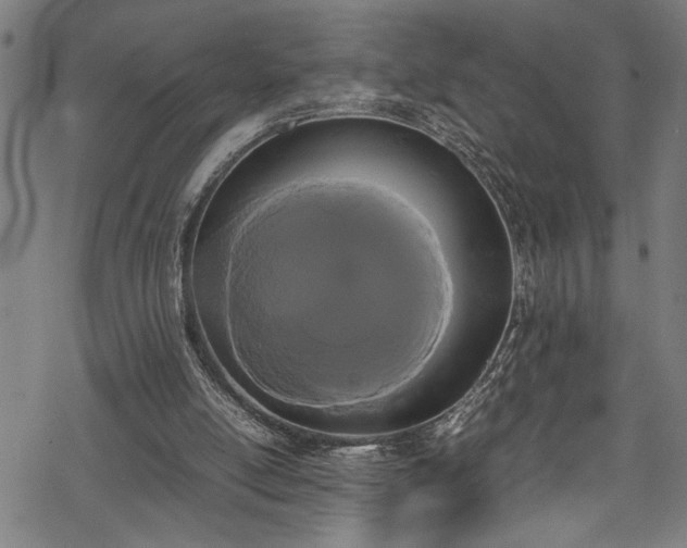 X0000069390054200605150953