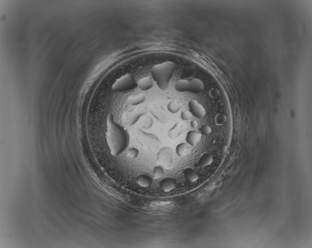 X0000069390055200605150953