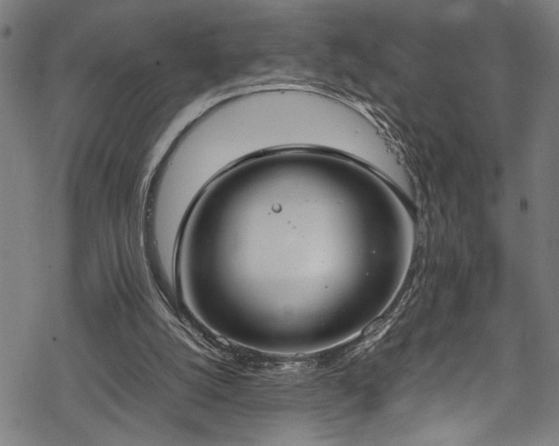 X0000069390056200605150953