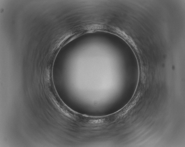 X0000069390057200605150953