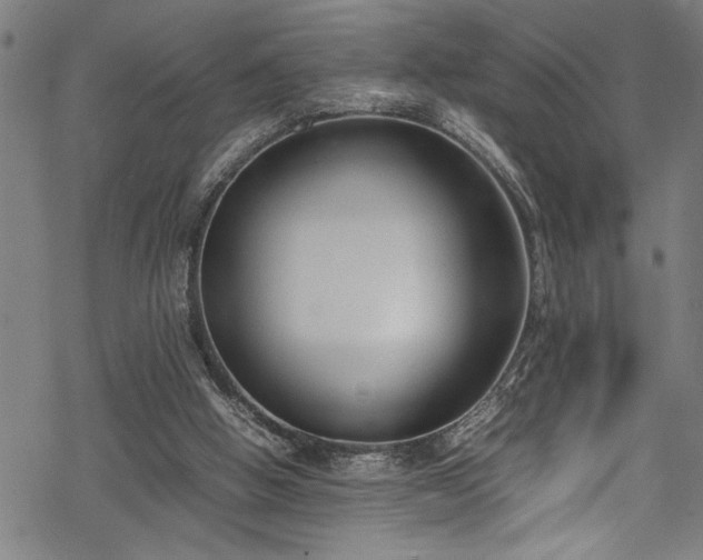 X0000069390058200605150954