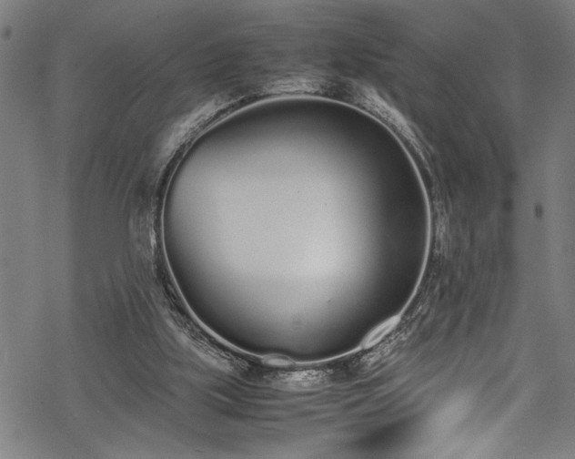 X0000069390059200605150954