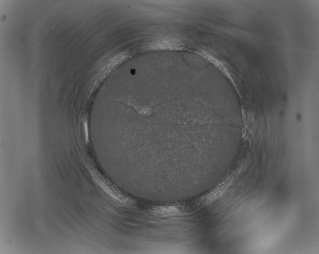 X0000069390061200605150954