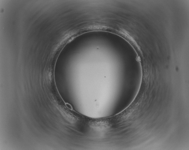 X0000069390063200605150954