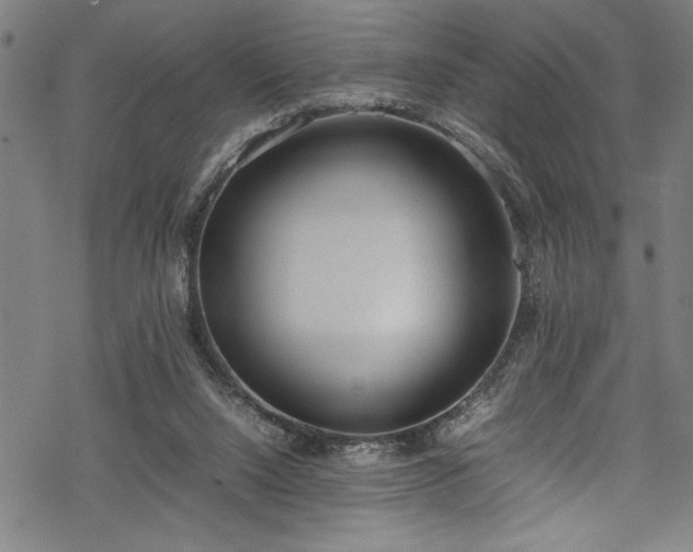 X0000069390064200605150954