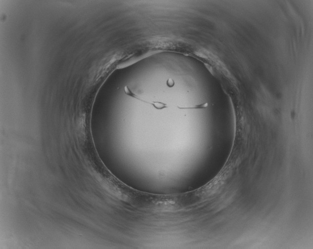 X0000069390066200605150954