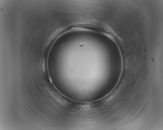 X0000069390068200605150954