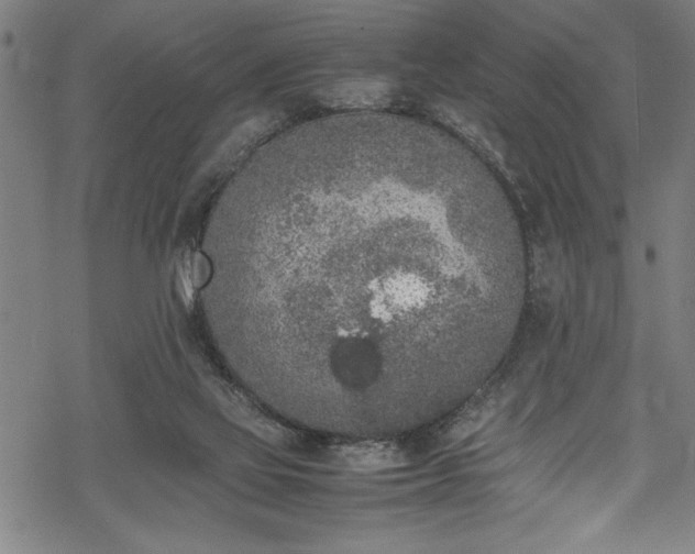 X0000069390069200605150954