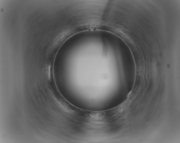 X0000069390070200605150954