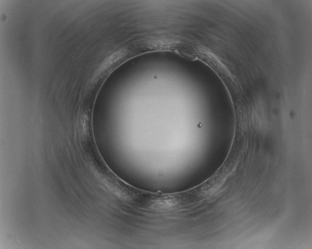 X0000069390071200605150954