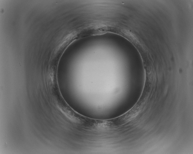 X0000069390072200605150954