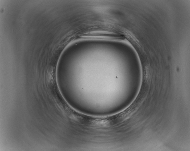 X0000069390073200605150954