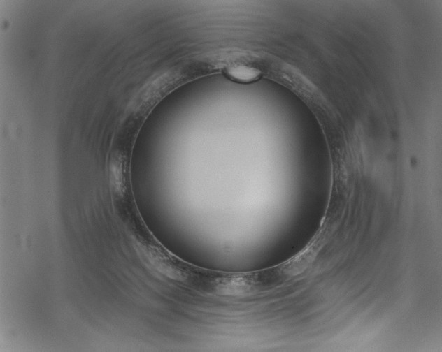 X0000069390074200605150954