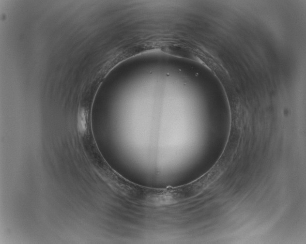 X0000069390075200605150954