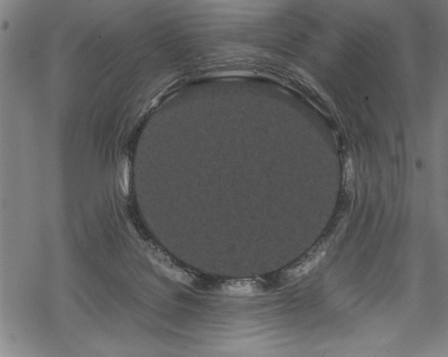 X0000069390076200605150954