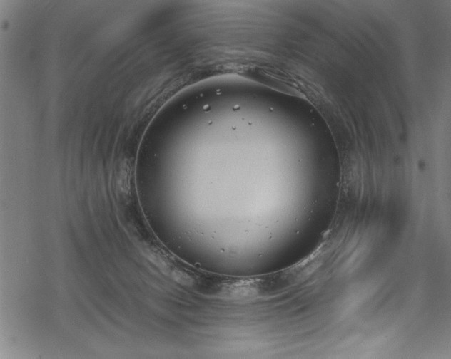 X0000069390078200605150954