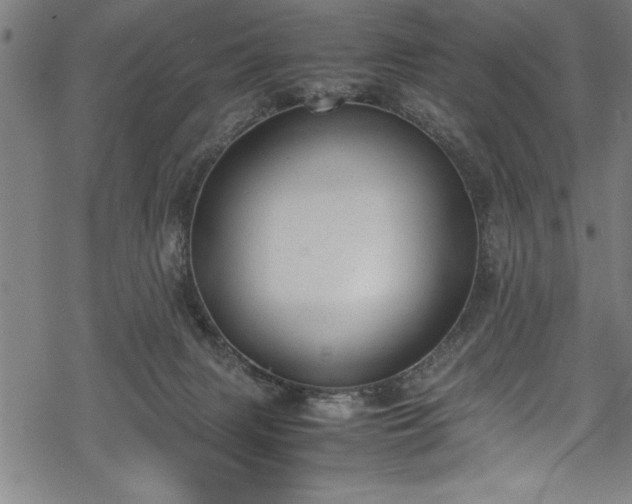 X0000069390079200605150954