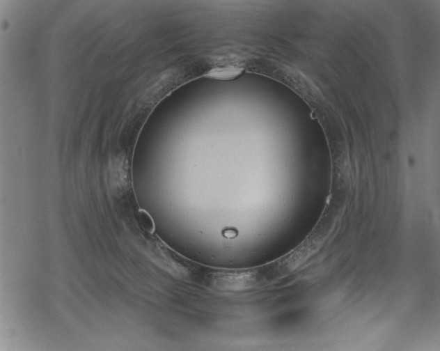 X0000069390081200605150954