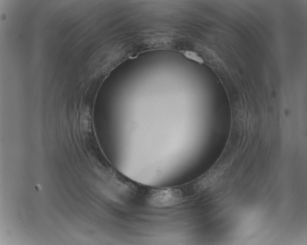 X0000069390083200605150954