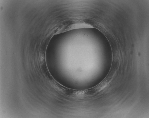 X0000069390084200605150954