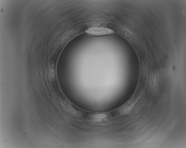 X0000069390085200605150954