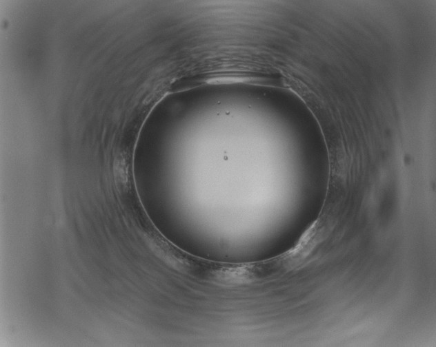 X0000069390086200605150954