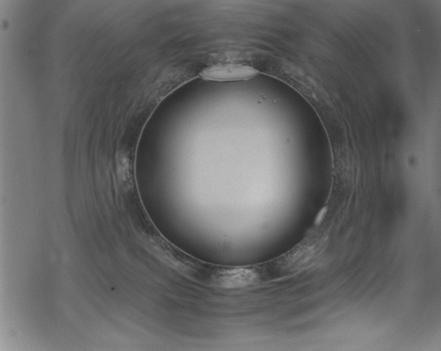 X0000069390087200605150954