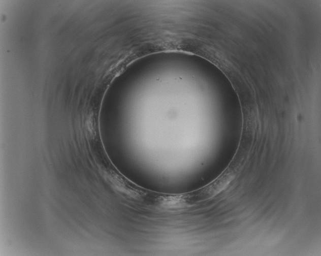 X0000069390088200605150954