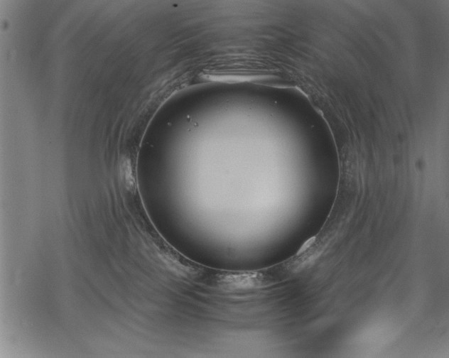 X0000069390089200605150954